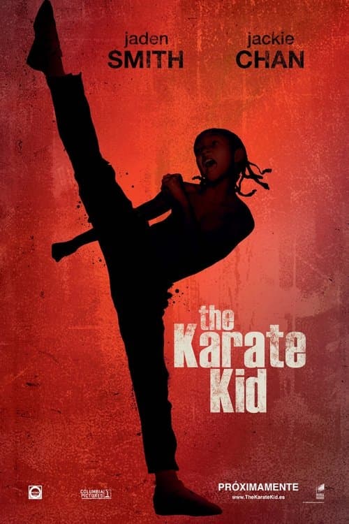 Póster de The Karate Kid